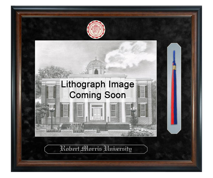 Robert Morris University Litho Frame,Diploma Frame (XSNTL)