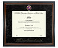 SHEMA Theological Seminary and Bible College Diploma Frame (SN)