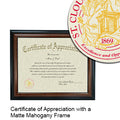 St. Cloud State University Certificate with Frame