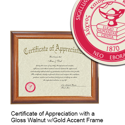 St. John's University Certificate with Frame