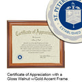 St. Petersburg College Certificate with Frame