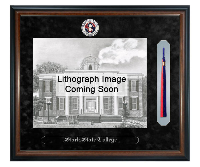 Stark State College Litho Frame,Diploma Frame (XSNTL)