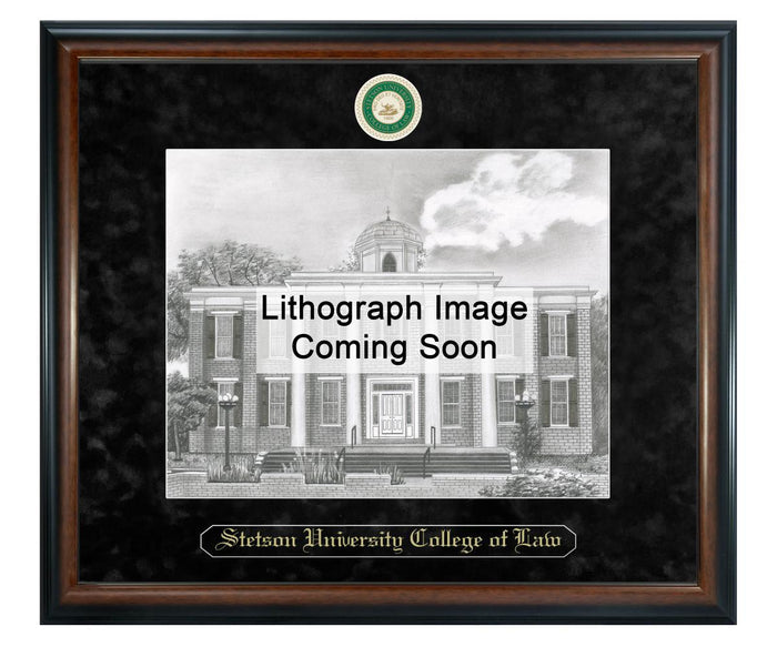 Stetson University College of Law Litho Frame,Diploma Frame (XSNL)