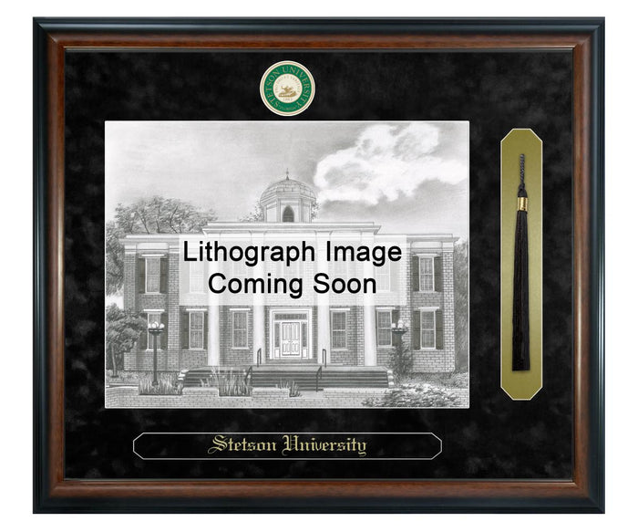 Stetson University Litho Frame,Diploma Frame (XSNTL)