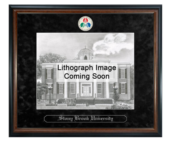 Stony Brook University Litho Frame,Diploma Frame (XSNL)