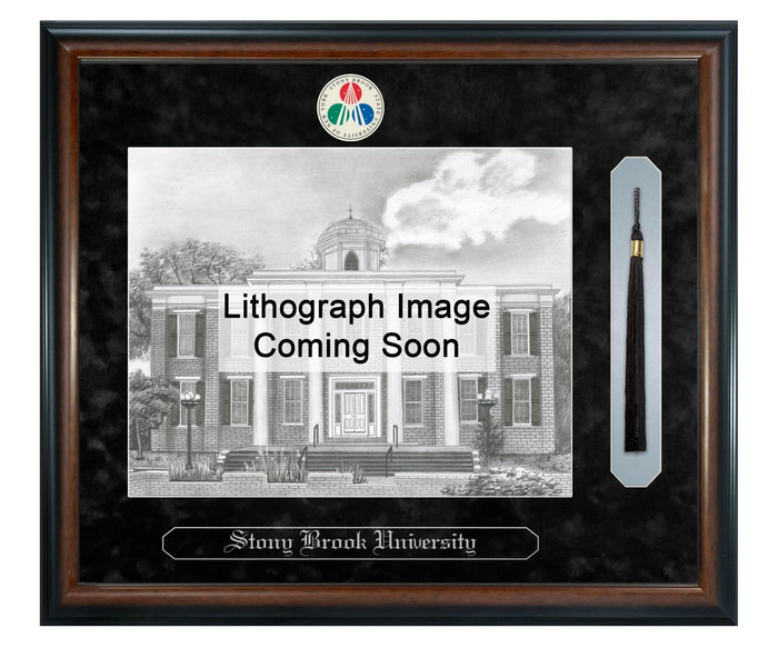 Stony Brook University Litho Frame,Diploma Frame (XSNTL)