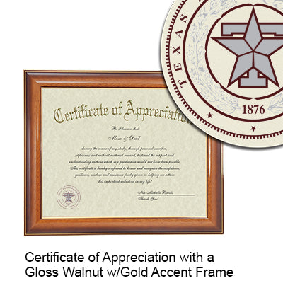Texas A&M Health Science Center - College of Medicine Certificate with Frame