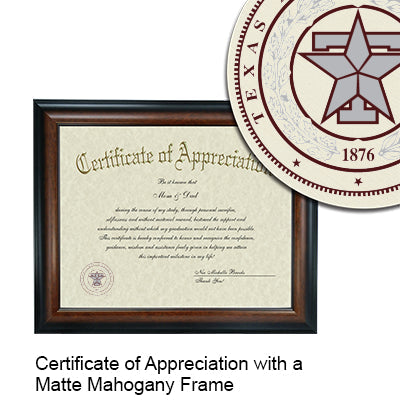 Texas A&M Health Science Center - College of Nursing Certificate with Frame