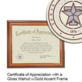 Texas A&M Health Science Center - College of Pharmacy Certificate with Frame