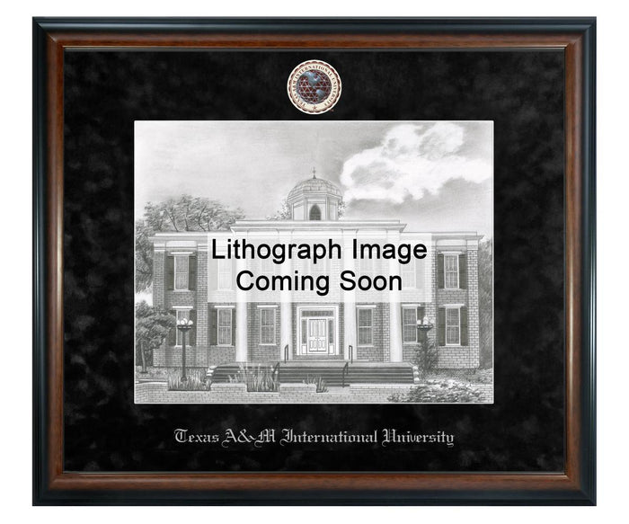 Texas A&M International University Litho Frame,Diploma Frame (XSNL)