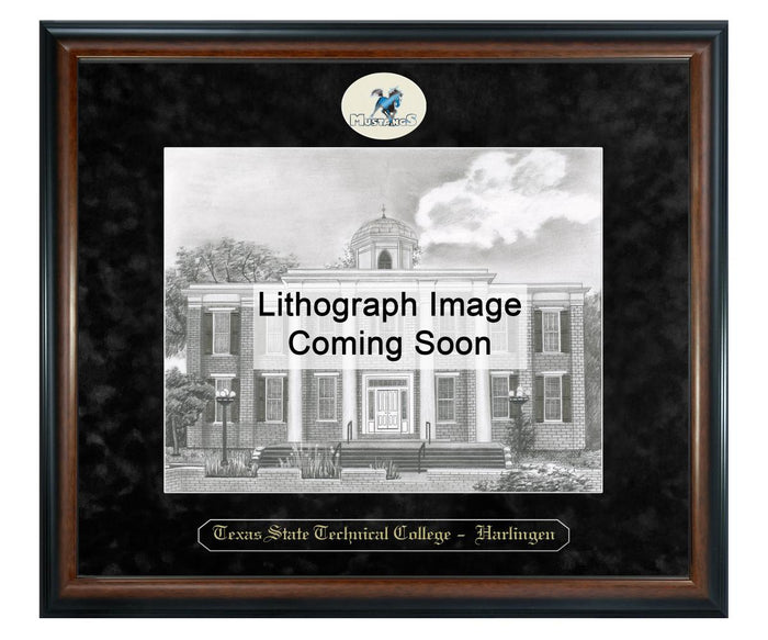 Texas State Technical College Harlingen Litho Frame,Diploma Frame (XSNL)