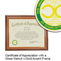 The University of North Carolina at Charlotte Certificate with Frame