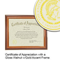 The University of North Carolina at Greensboro Certificate with Frame