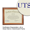 The University of Texas at San Antonio Certificate with Frame