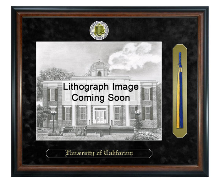 University of California, San Francisco College of Pharmacy Litho Frame,Diploma Frame (XSNTL)