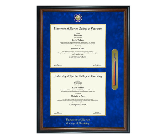 University of Florida College of Dentistry Diploma Frame (DSNT)