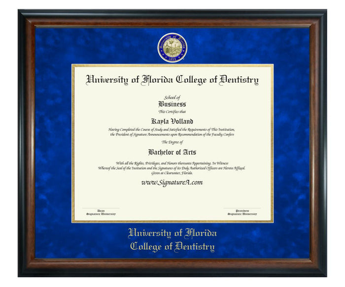 University of Florida College of Dentistry Diploma Frame (SN)