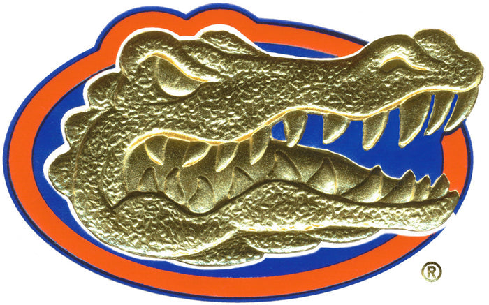 University of Florida College of Dentistry Frame Options (5134)