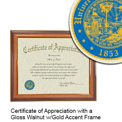 University of Florida College of Pharmacy Certificate with Frame