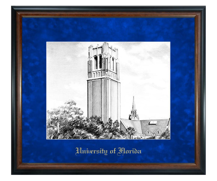 University of Florida Litho Frame,Diploma Frame (XNL)