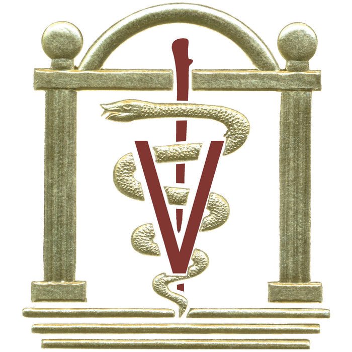 University of Georgia College of Veterinary Frame Options (4145)