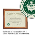 University of Hawaii at M noa  Certificate with Frame