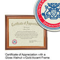 University of Houston - Downtown Certificate with Frame