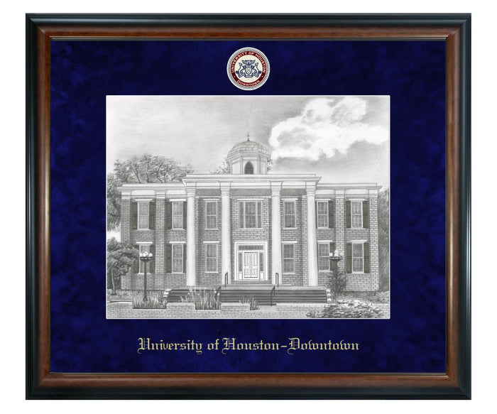 University of Houston - Downtown Litho Frame,Diploma Frame (XSNL)