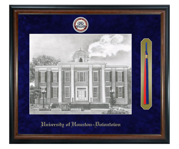 University of Houston - Downtown Litho Frame,Diploma Frame (XSNTL)