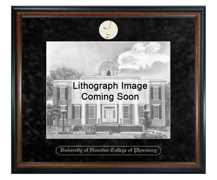 University of Houston College of Pharmacy Litho Frame,Diploma Frame (XSNL)