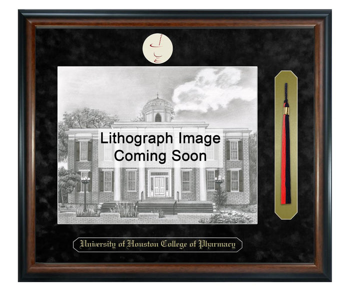 University of Houston College of Pharmacy Litho Frame,Diploma Frame (XSNTL)