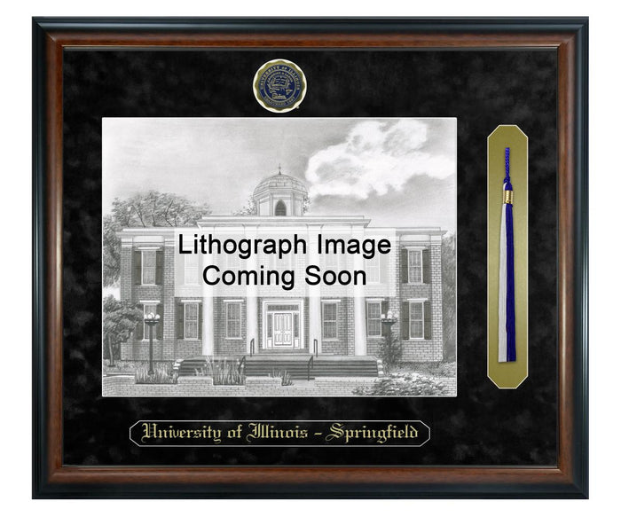 University of Illinois at Springfield Litho Frame,Diploma Frame (XSNTL)