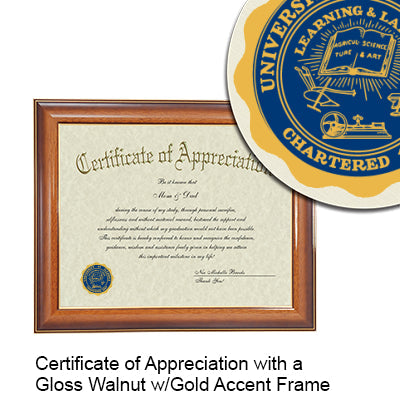 University of Illinois at Urbana-Champaign Certificate with Frame