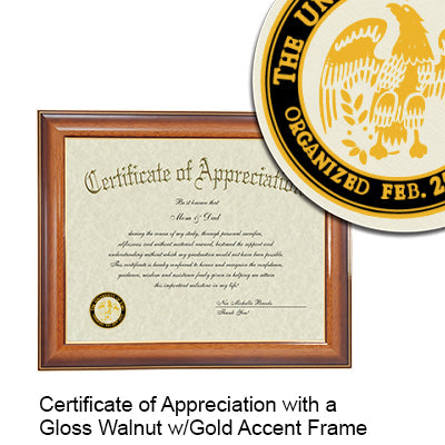 University of Iowa Certificate with Frame