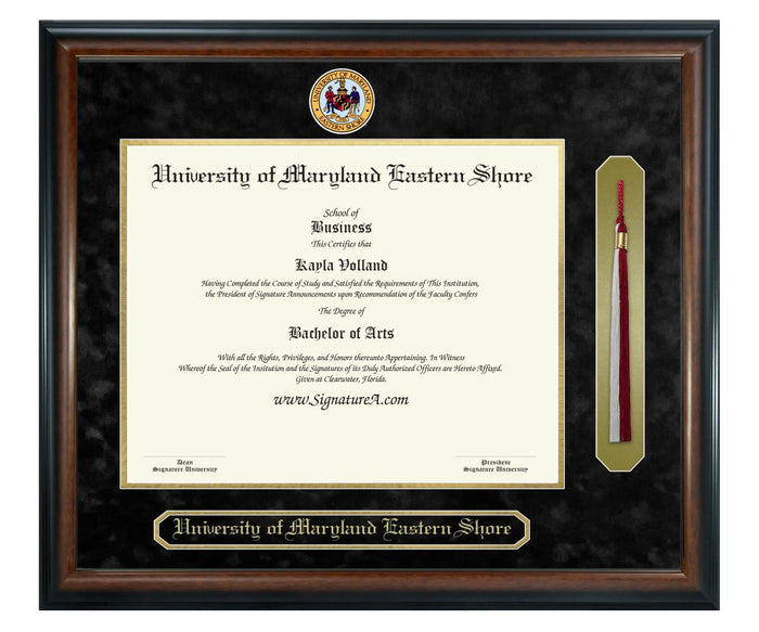 University of Maryland Eastern Shore Diploma Frame (SNT)