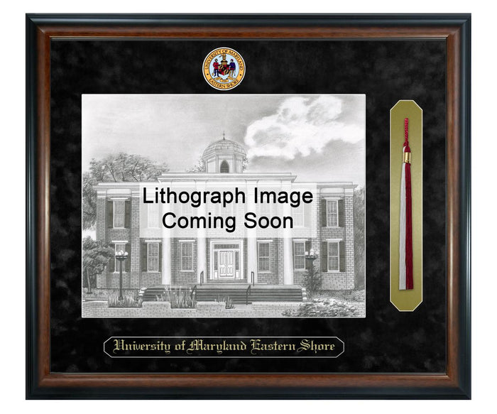 University of Maryland Eastern Shore Litho Frame,Diploma Frame (XSNTL)