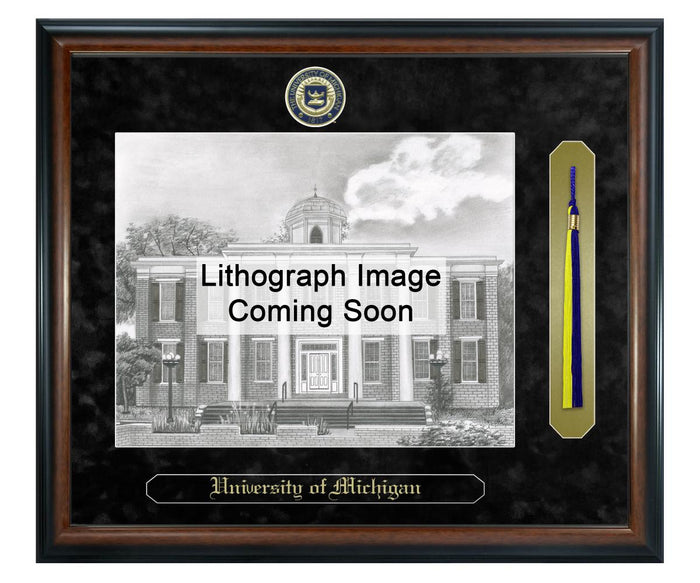 University of Michigan - Dearborn Litho Frame,Diploma Frame (XSNTL)