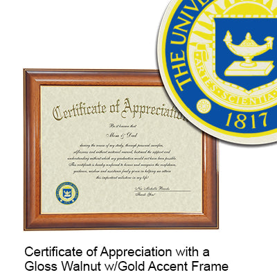 University of Michigan Certificate with Frame