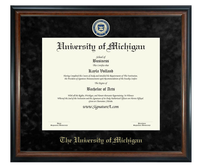 University of Michigan Diploma Frame (SN)