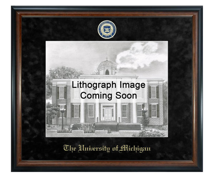 University of Michigan Litho Frame,Diploma Frame (XSNL)
