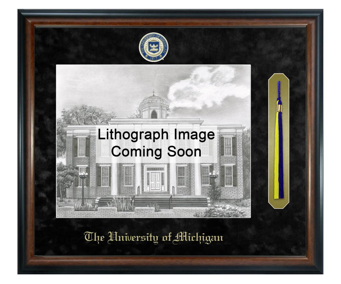 University of Michigan Litho Frame,Diploma Frame (XSNTL)