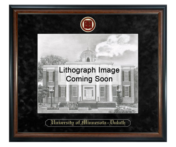 University of Minnesota - Duluth Litho Frame,Diploma Frame (XSNL)