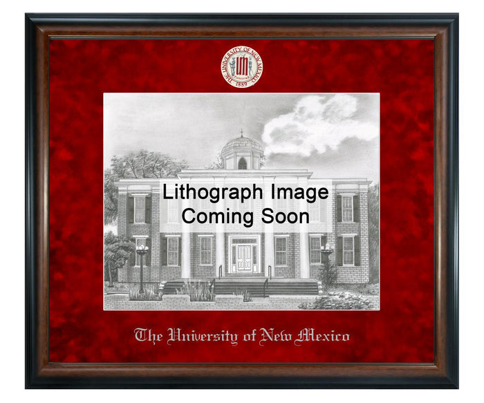 University of New Mexico Litho Frame,Diploma Frame (XSNL)