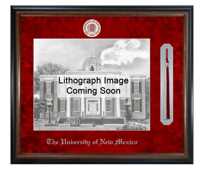 University of New Mexico Litho Frame,Diploma Frame (XSNTL)