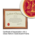 University of South Carolina Certificate with Frame