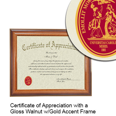 University of South Carolina Certificate with Frame