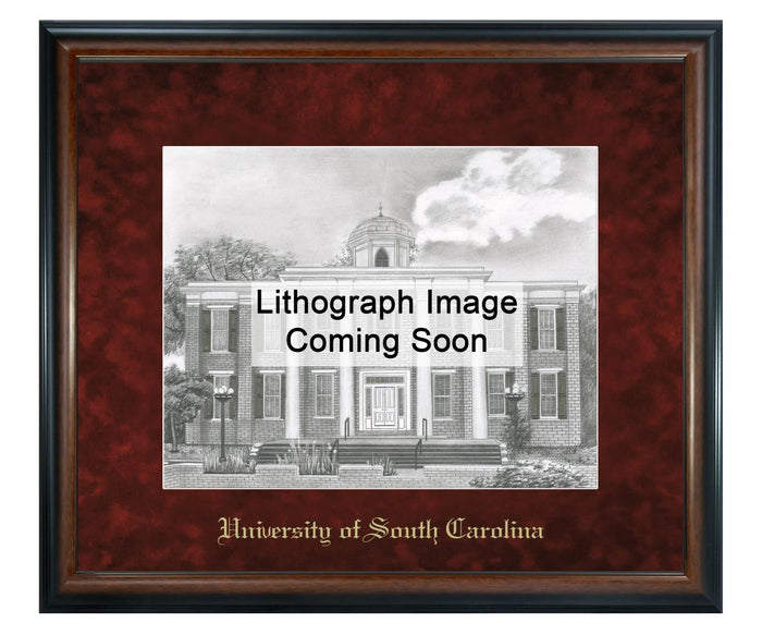 University of South Carolina Litho Frame,Diploma Frame (XNL)