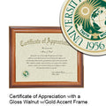 University of South Florida Certificate with Frame