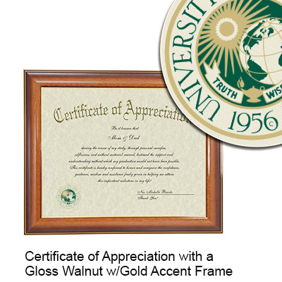 University of South Florida Certificate with Frame