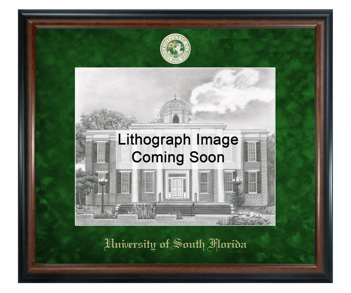 University of South Florida Litho Frame,Diploma Frame (XSNL)